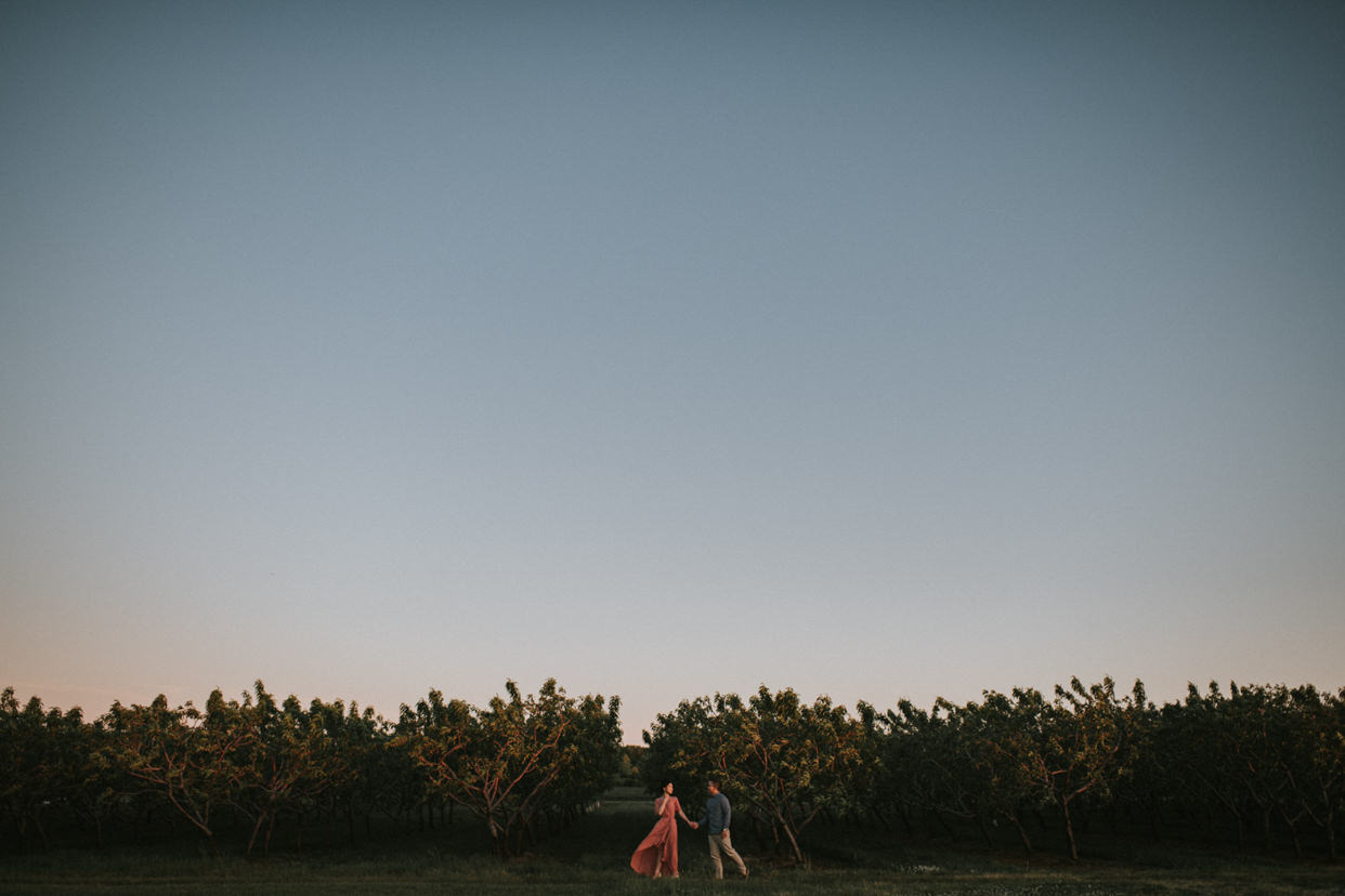 Niagara On The Lake Vineyard Engagement Photo