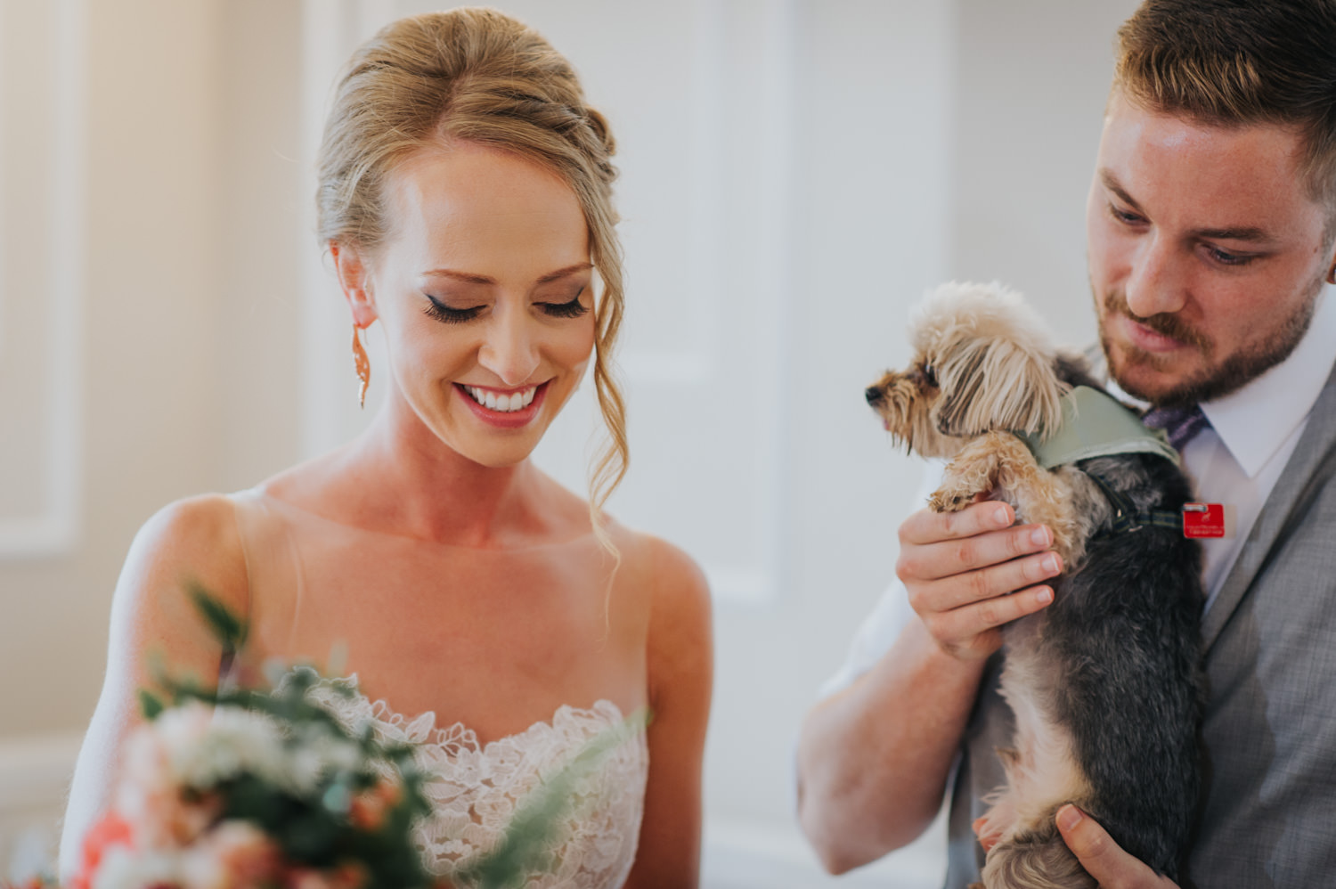 adorable yorkie stamp his paw on the marriage license