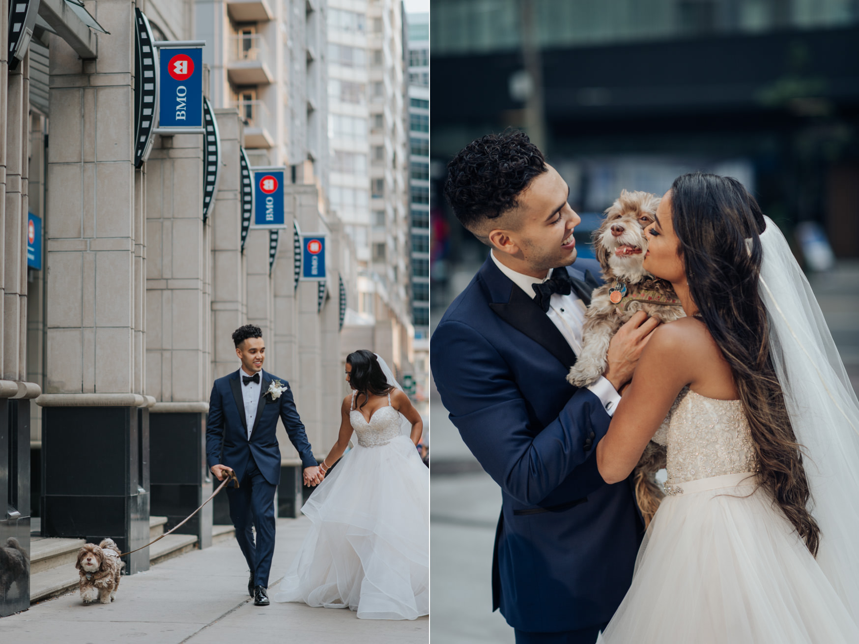 Toronto Wedding Couple Dog Photo