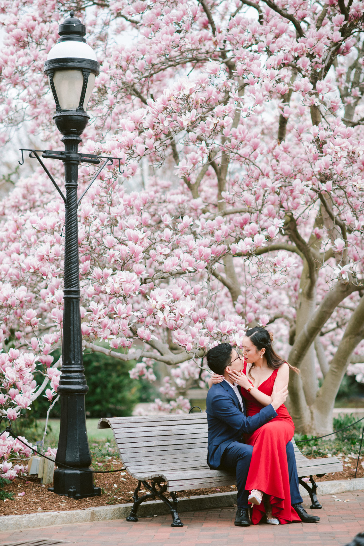Magnolia Garden Engagement Session