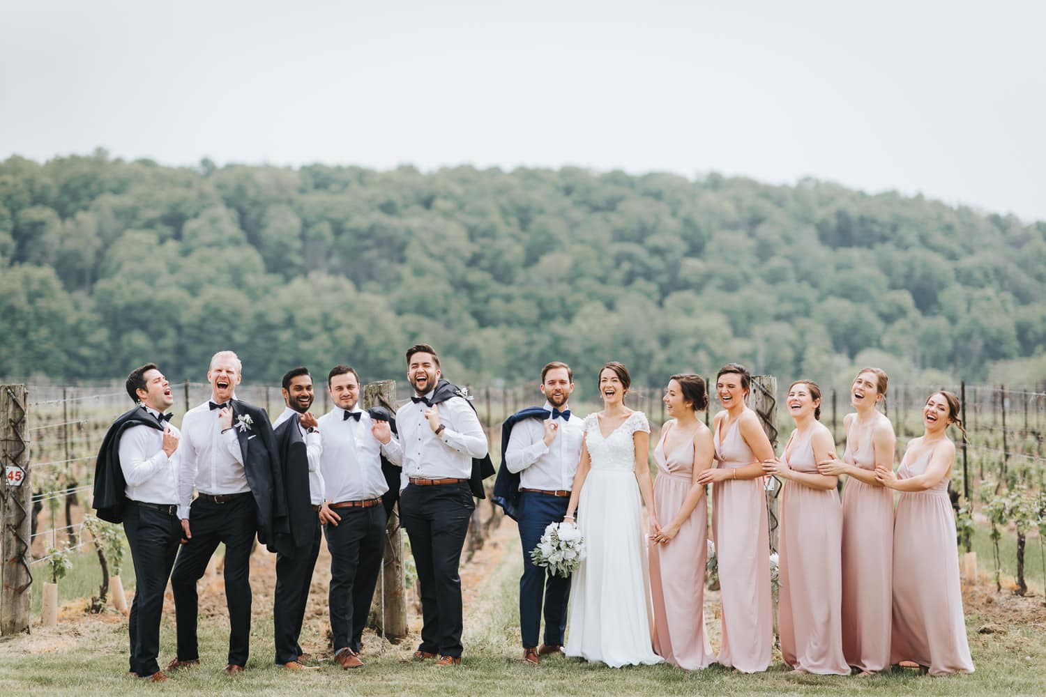 Inn on the Twenty Cave Spring Vineyard Wedding Party